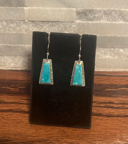 Small Turquoise Dangles