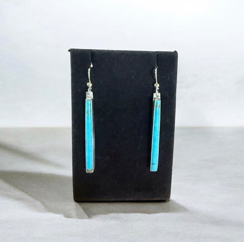Beautiful Long Thin Turquoise Dangles