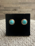 Carved Turquoise Posts