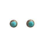 Carved Turquoise Posts