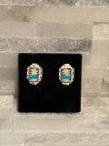 Porcupine Quill & Turquoise Posts